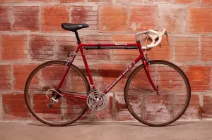 Diamondback Expert TG Road Bike, 59 cm / XL, Red, black and silver