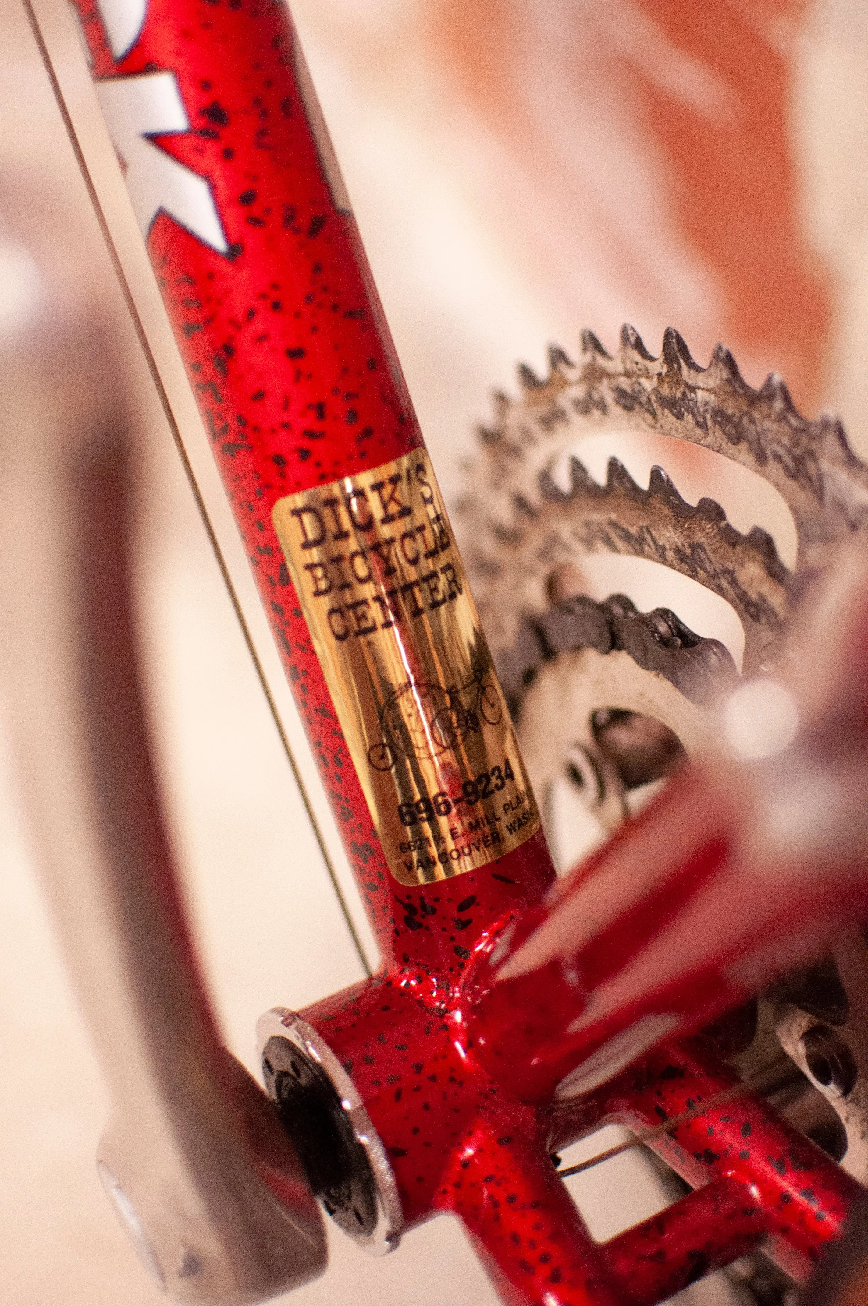 Diamondback Expert TG Road Bike, 59 cm / XL, Red, black and silver
