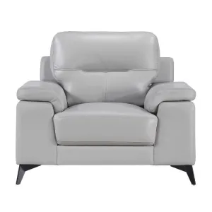 Homelegance Furniture Mischa Chair in Silver Gray 9514SVE-1