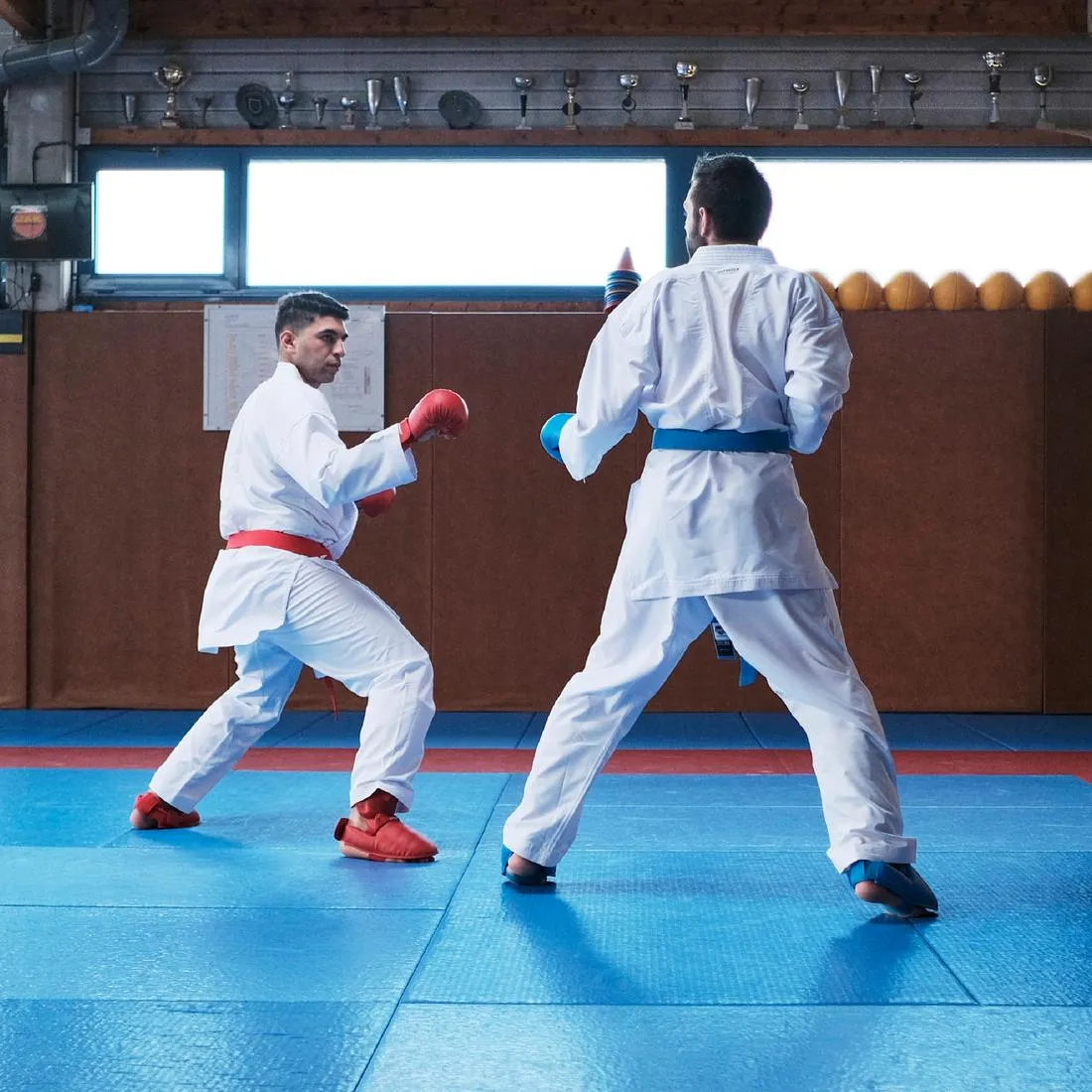 Karate Shin/Foot Guard 900