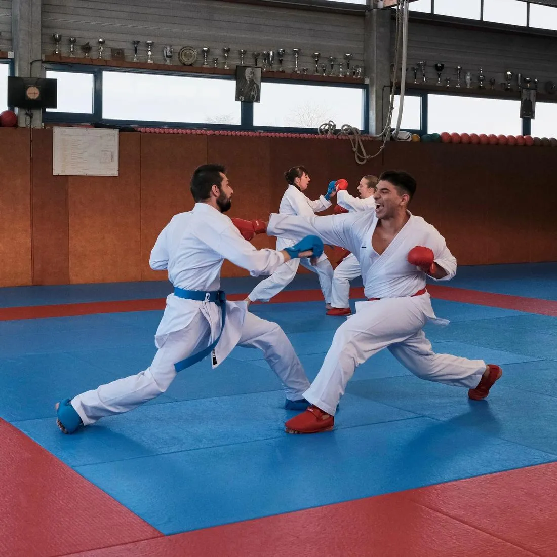 Karate Shin/Foot Guard 900